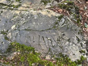 Temu се готви да навлезе на пазара на Южна Корея, изграждане на логистична система · TechNode