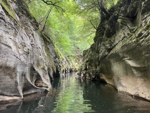 Sino-EU partnership drives green transformation in Europe