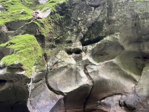 BYD и Geely приемат NVIDIA DRIVE Hyperion за програми за автономни превозни средства от ниво 4 · TechNode