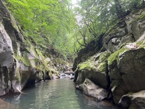 Разкритието на Tencent разкрива разследвания за подкупи и злоупотреби