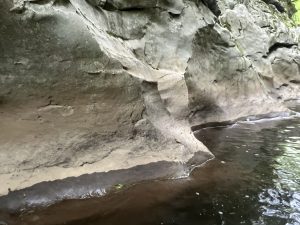 DeepSeek пуска OCR 2 с нова архитектура за визуално кодиране, насочена към по-подобно на човека машинно зрение · TechNode