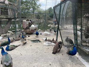 Енергетиката е сила и отговорност към хората и бъдещето