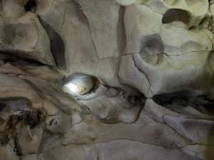 България и Япония стъпват на солидна основа, която открива нови хоризонти за партньорство в енергийната сфера