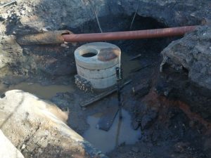 Изпълнителна агенция по горите | Новини