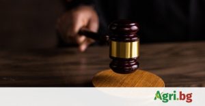 Министър Гуцанов: Хората от министерствата трябва да са по-често при миньорите