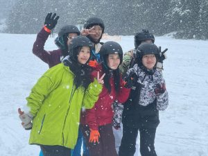 Все повече български общини залагат на японската техника Kubota