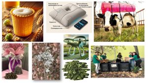 Екипажът на Shenzhou XX се завръща успешно на Земята