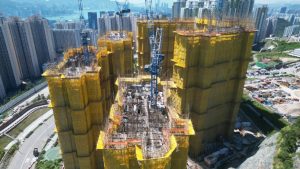 Изпълнителна агенция по горите | Новини