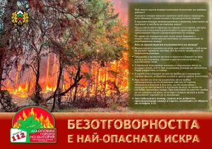 Изпълнителна агенция по горите | Новини