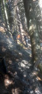Пожар пламна и на територията на резерват „Риломанастирска гора“