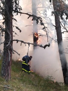 A споделя в ранен галоп на нови технологии