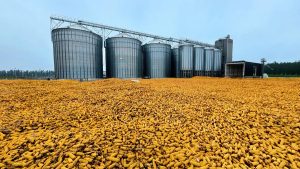 Зам.-председателят на КФН Пламен Данаилов пред BTV и Нова тeлевизия: Въвеждаме пълна прозрачност за потребителите на „Гражданска отговорност“