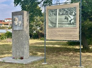 Докладът призовава за повече надзор върху хранително-вкусовата промишленост