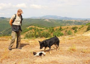 Води се разследване по пореден случай на отровен египетски лешояд в района на Източни Родопи