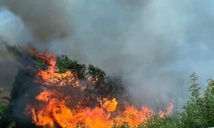 Трактор и слама изгоряха при пожар край Пловдив