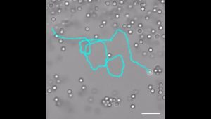 Учени в Китай създават подобен на хищник материал за търсене на уран в океана